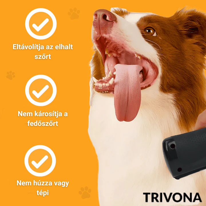 Csoda Szőrkefe - Best-Seller